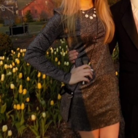 Sparkly Grey H&M Bodycon Dress - Picture 2 of 4